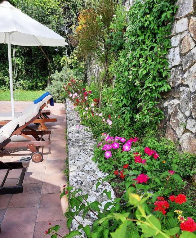 Villa Melenia Almiros Beach Exteriör bild